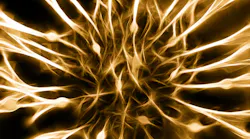 Pixabay Cells And Nerves 346928 1280