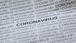 Pixabay Feline Corona Virus 5033326 1920 5edf8f03df467 Pixabay Feline Corona Virus 5033326 1920 5edf8f03df467