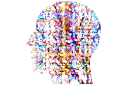 Pixabay Stroke Unknown 5084485 1280 5ee0ddd43f943 Pixabay Stroke Unknown 5084485 1280 5ee0ddd43f943