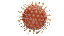 Pixabay Virus 4930122 1280 5ed654d055b51 Pixabay Virus 4930122 1280 5ed654d055b51