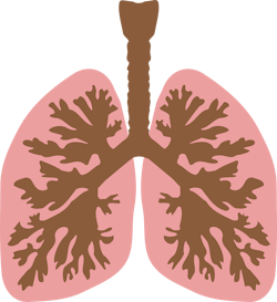 Pixabay Windpipe 149762 1280 5ed7aa760e1ee Pixabay Windpipe 149762 1280 5ed7aa760e1ee