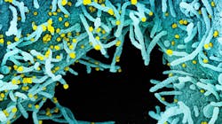 20200714 Covid Nih 5f104cd32f753 20200714 Covid Nih 5f104cd32f753