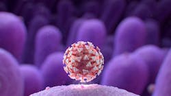 20 Ccc 1893680 Sars Co V 2 Virus Microvillie 650x450 C Clinic 5f11999be1c4f 20 Ccc 1893680 Sars Co V 2 Virus Microvillie 650x450 C Clinic 5f11999be1c4f