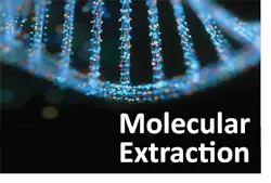4 molecular Extraction 4 molecular Extraction