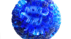 Cdc Flu Virus 23231