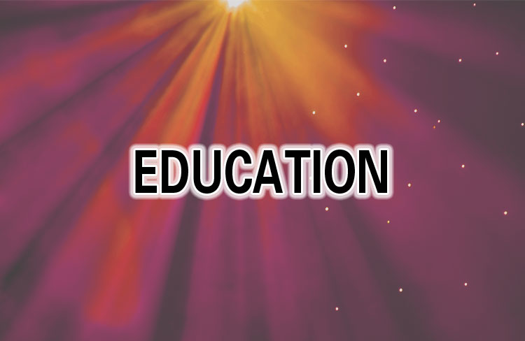 Mlo Education 5f19a89f85c50