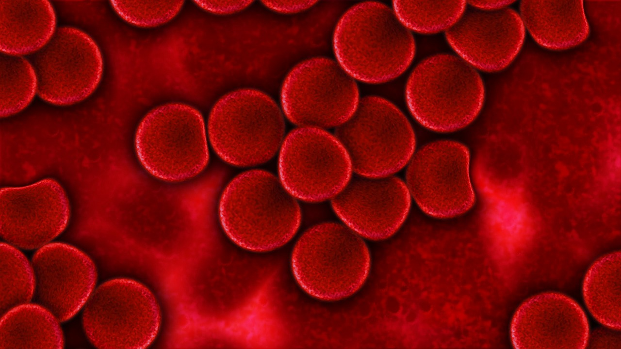 Needpix Blood Cells 75302 1280 2 5efddfa7263bd