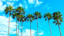 Pixabay Palm Trees 1277243 1280