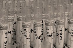 Pixabay Test 214244 1280 5f1992928464d Pixabay Test 214244 1280 5f1992928464d