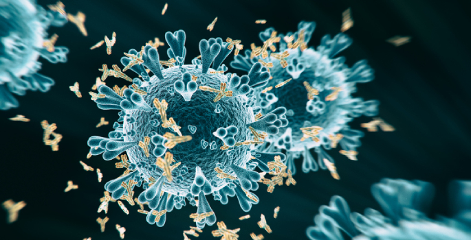 Covid Antibodies Vanderbilt 5f1594ab0b263