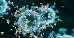 Covid Antibodies Vanderbilt 5f1594ab0b263 Covid Antibodies Vanderbilt 5f1594ab0b263