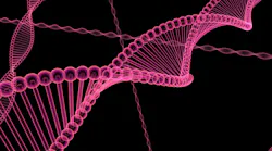 Pixabay Dna 1015661 1280 (1)