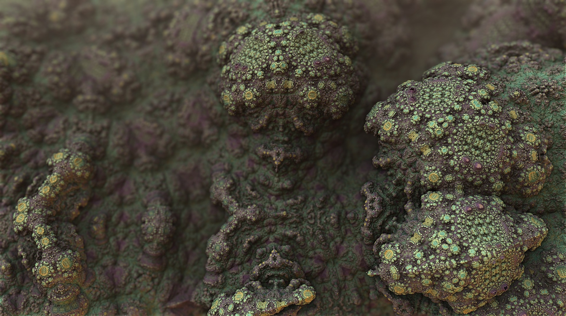 Pixabay Mold 1482666 1920 5f295f876977c