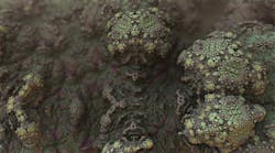 Pixabay Mold 1482666 1920 5f295f876977c Pixabay Mold 1482666 1920 5f295f876977c