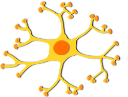 Pixabay Neuron 306034 1280 5f3d26bb2bf4a Pixabay Neuron 306034 1280 5f3d26bb2bf4a