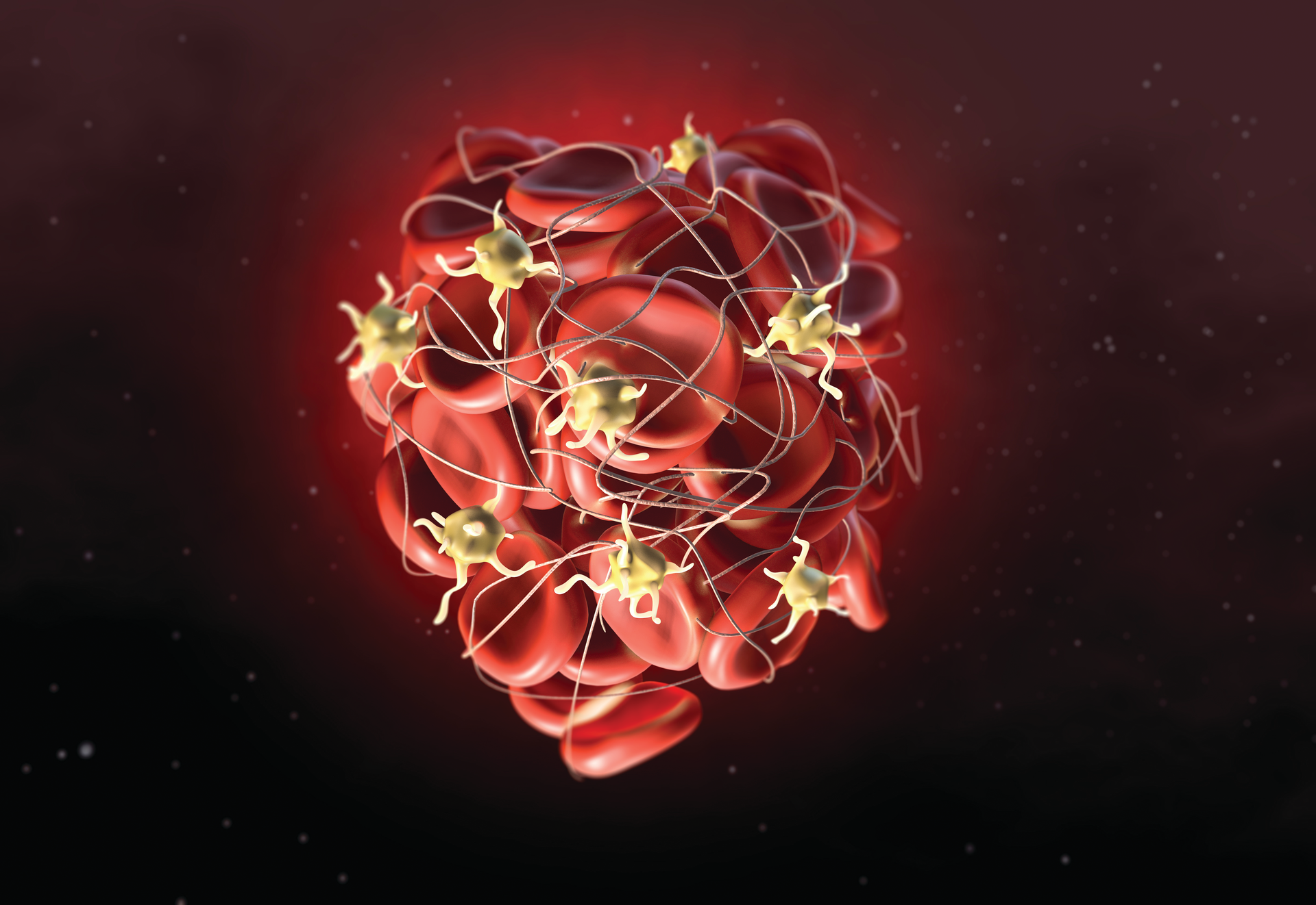 Adobe Stock 246443988 5f68c31aceb02