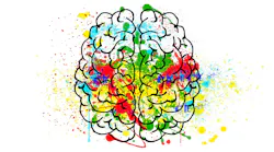 Pixabay Brain 2062048 1920