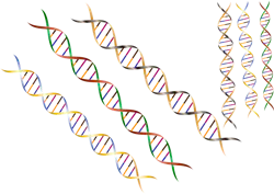 Pixabay Dna 1116336 1280 5f4e485e2972f Pixabay Dna 1116336 1280 5f4e485e2972f