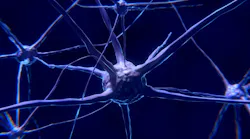 Pixabay Nerve Cell 2213009 1280