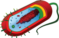 Pixabay Pathogen 296502 5f5a2ed859cae Pixabay Pathogen 296502 5f5a2ed859cae