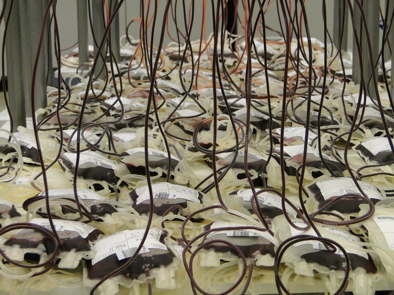 Blood Bags 91171 1280 5f6b4e00d6e5c