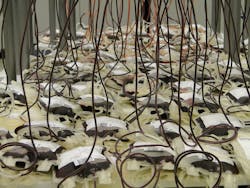 Blood Bags 91171 1280 5f6b4e00d6e5c Blood Bags 91171 1280 5f6b4e00d6e5c