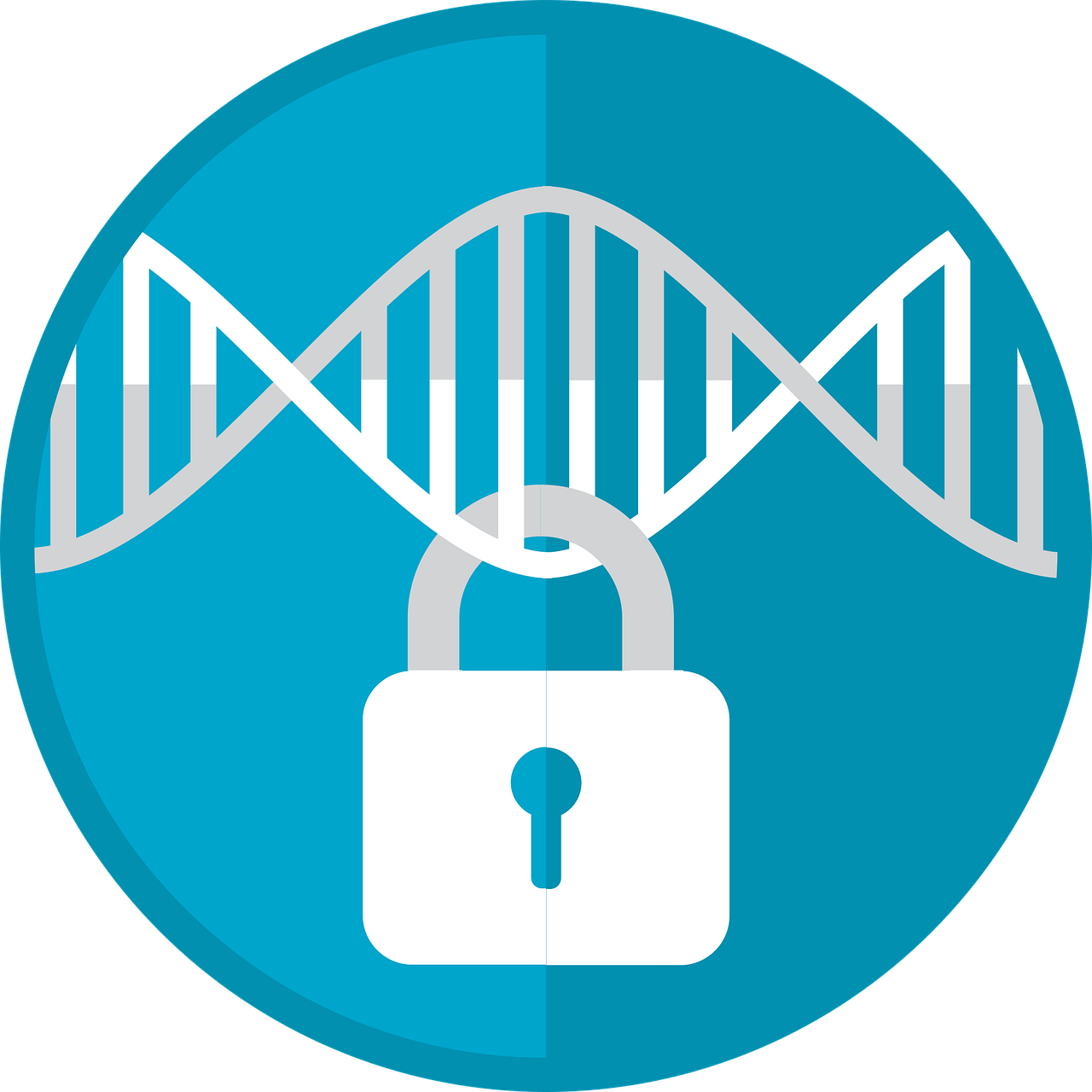 Pixabay Genomic Privacy 3302478 1280 5f996d91028a4