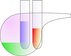 Pixabay Lab 36522 1280 5f75cef034351 Pixabay Lab 36522 1280 5f75cef034351