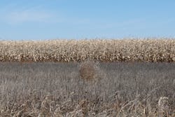 Pixabay Usa 4582706 1920 5f8d9401848a7 Pixabay Usa 4582706 1920 5f8d9401848a7