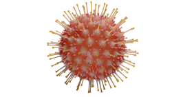 Pixabay Virus 4930122 1920 5f7c7ecb80f29 Pixabay Virus 4930122 1920 5f7c7ecb80f29