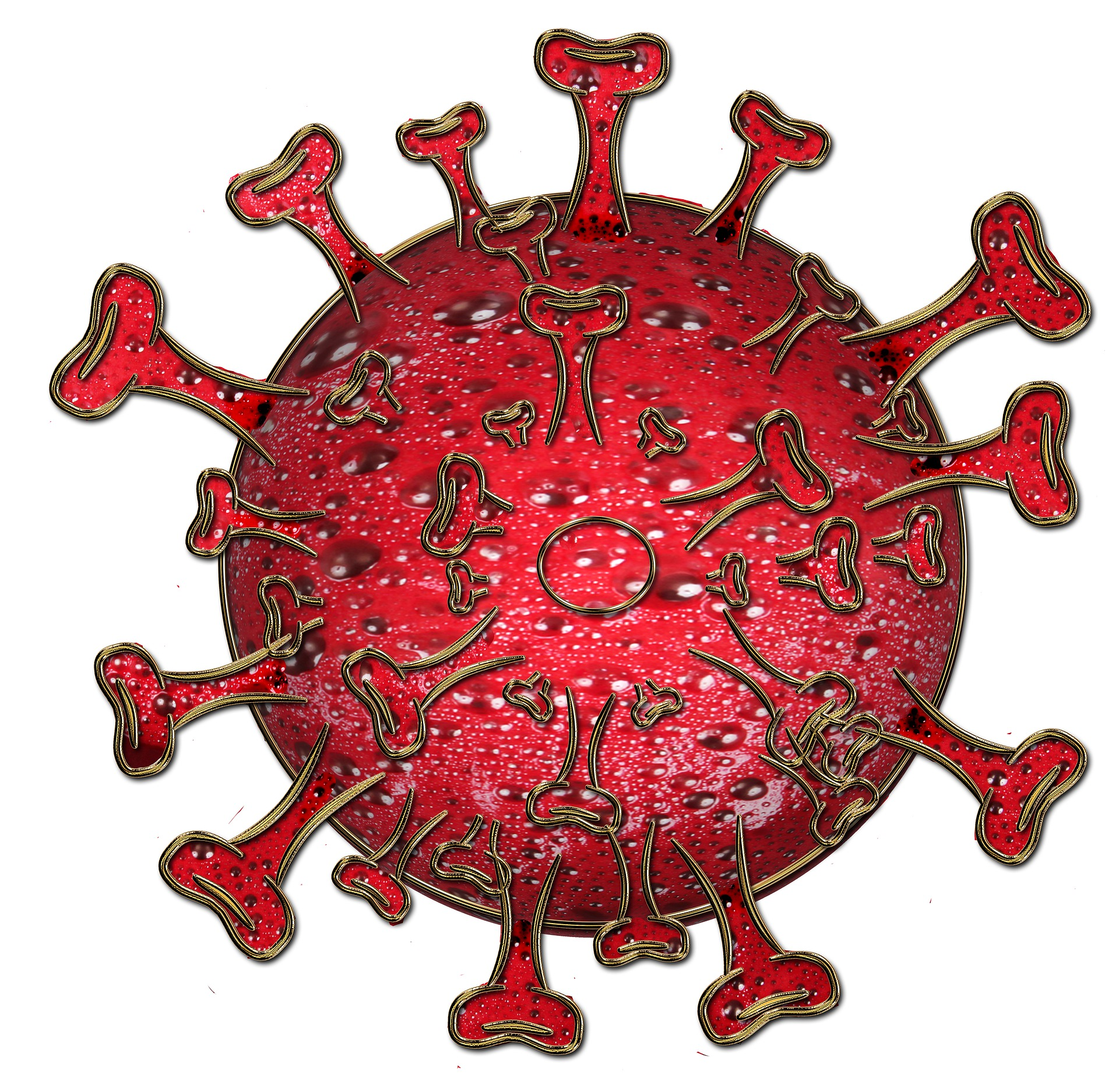 Pixabay Virus 5476984 1920 5f9190b3adbd7