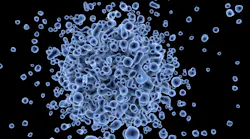 Virus 163471