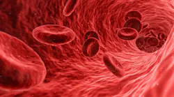 Pixabay Blood 1813410 1920 (1)