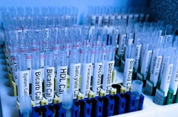 Pixabay Test 218181 1280 5fad45083db4f Pixabay Test 218181 1280 5fad45083db4f