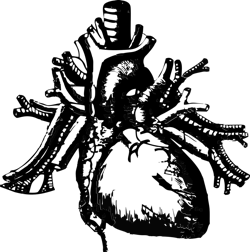 Heart 2846113 1280 5fbd6b4976a67 Heart 2846113 1280 5fbd6b4976a67