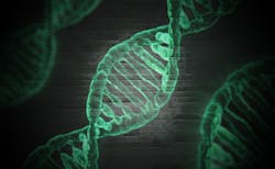 Pixabay 5fe0b98978a11 Pixabay 5fe0b98978a11