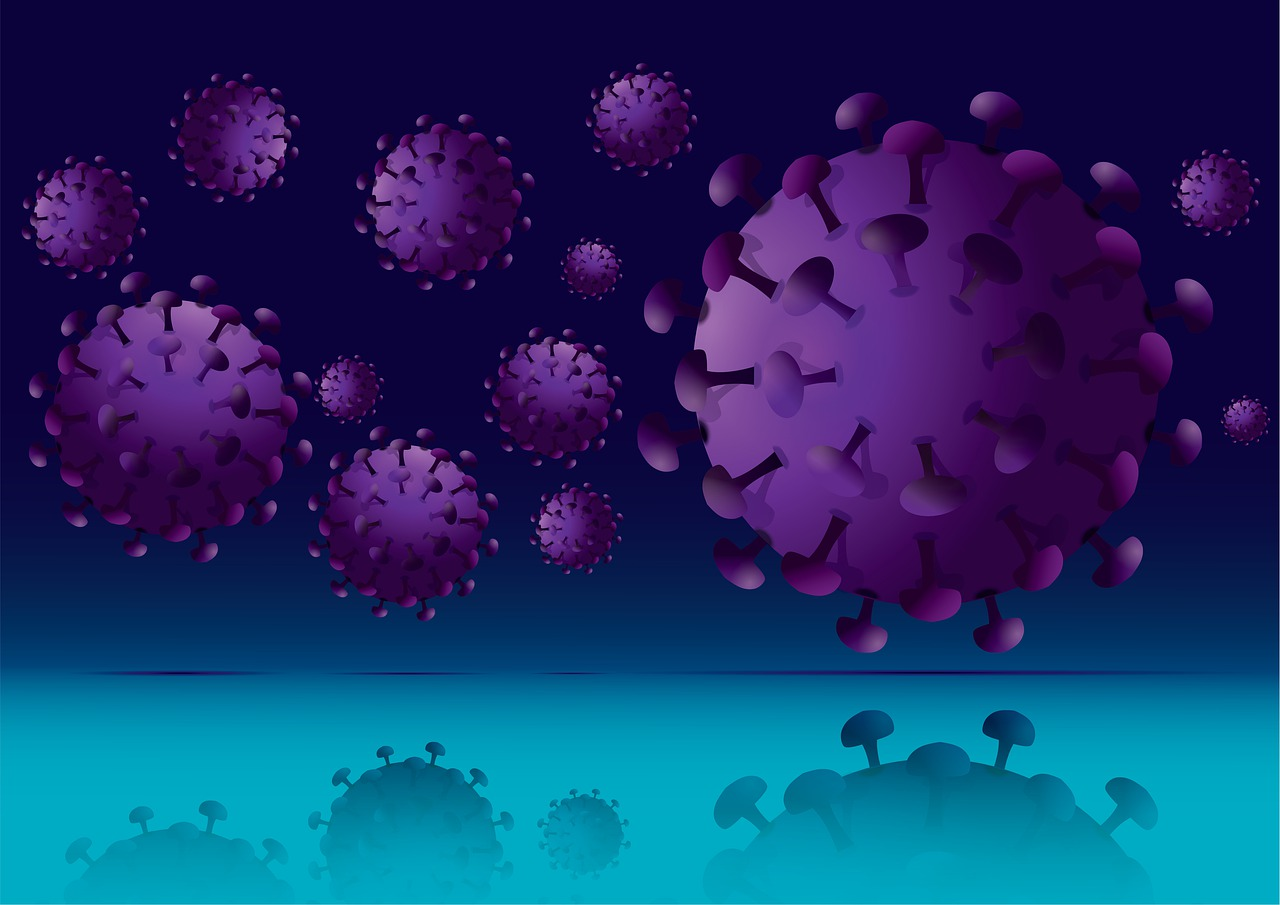 Pixabay Crown Virus 4931680 1280 5fe9ec0b15119