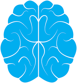 Pixabay Brain 1710293 1280 5ff866a2711f6 Pixabay Brain 1710293 1280 5ff866a2711f6