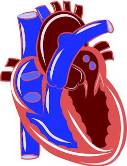 Pixabay Heart 2561958 1280 5ff3298459f52 Pixabay Heart 2561958 1280 5ff3298459f52