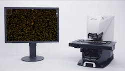 D I Fine Screenshot Copy D I Fine Screenshot Copy