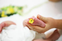 Pixabay baby foot 3 1 21 6039397abc5be Pixabay baby foot 3 1 21 6039397abc5be
