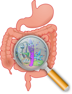 Pixabay gut 2 10 21 6023de9c46e12 Pixabay gut 2 10 21 6023de9c46e12