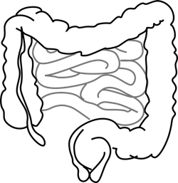 Pixabay gut 2 18 21 602e77f93d023 Pixabay gut 2 18 21 602e77f93d023