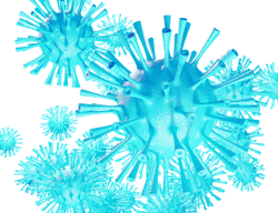 Pixabay covid 3 31 21 60647548559d4 Pixabay covid 3 31 21 60647548559d4