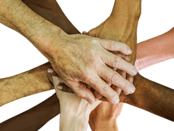 Pixabay diverse 3 30 21 60631fdebb6a0 Pixabay diverse 3 30 21 60631fdebb6a0