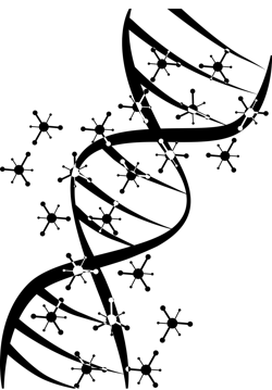 Pixabay dna 3 11 21 1 604a2e4184623 Pixabay dna 3 11 21 1 604a2e4184623