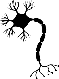 Pixabay neuron 3 30 21 60632959718ac Pixabay neuron 3 30 21 60632959718ac