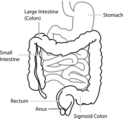 Pixabay Diagram 41638 1280 60759b983b6b2 Pixabay Diagram 41638 1280 60759b983b6b2