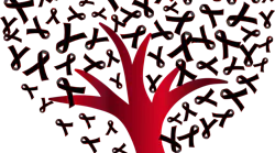 Pixabay aids 4 13 21