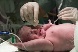Pixabay baby 4 28 21 608959ae6725c Pixabay baby 4 28 21 608959ae6725c